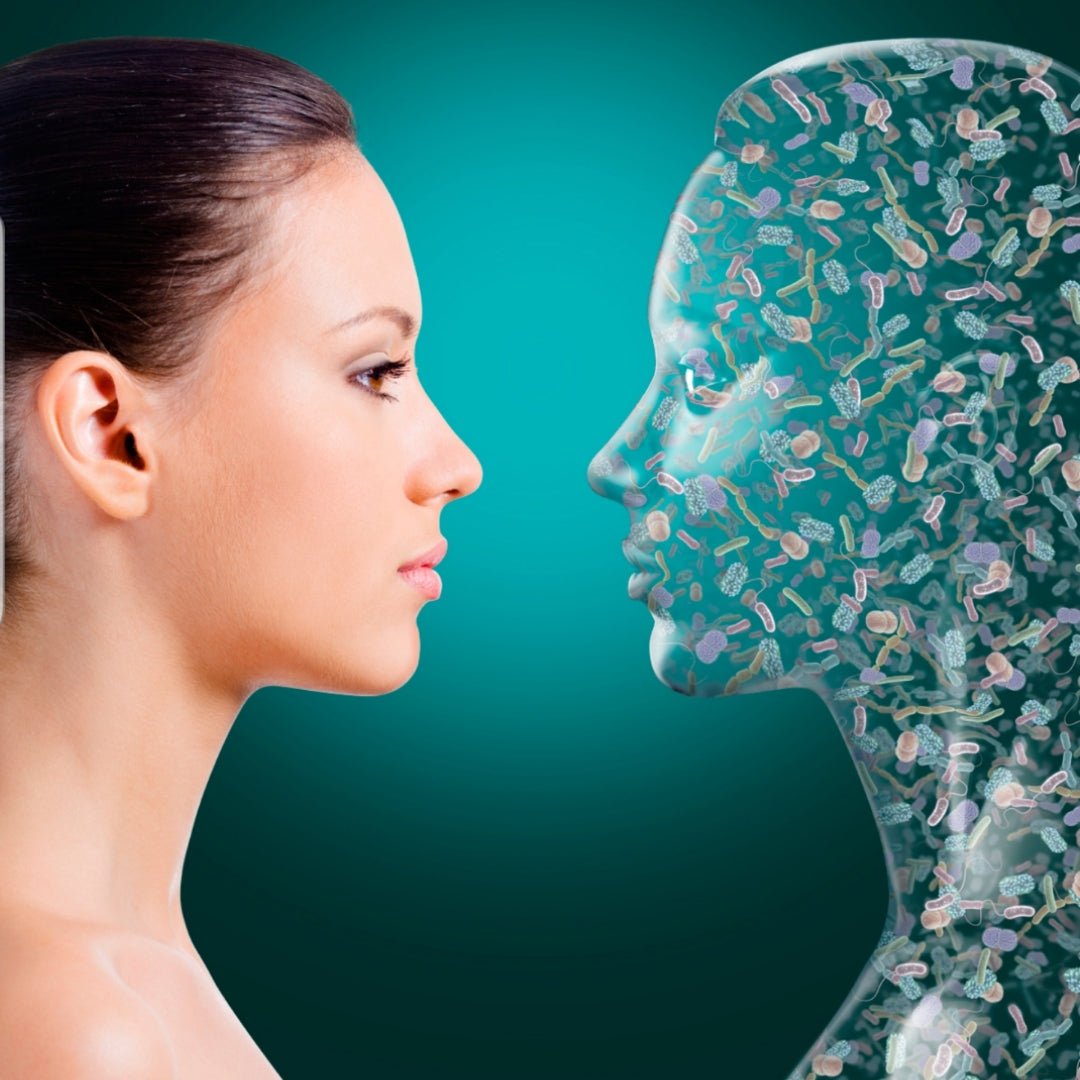 Broad Institute microbiome article MIT / Cambridge