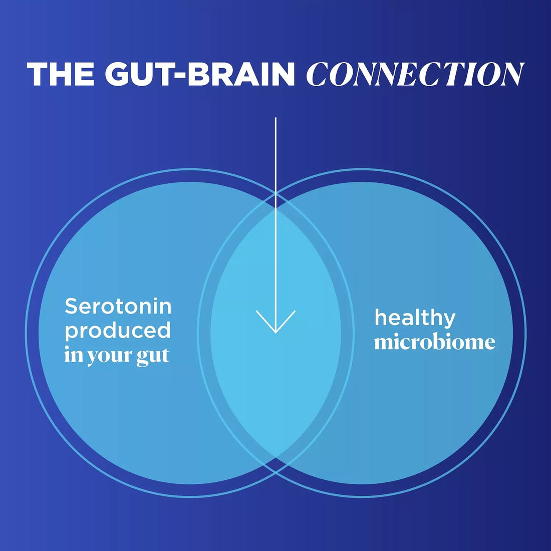 The Gut Brain Axis